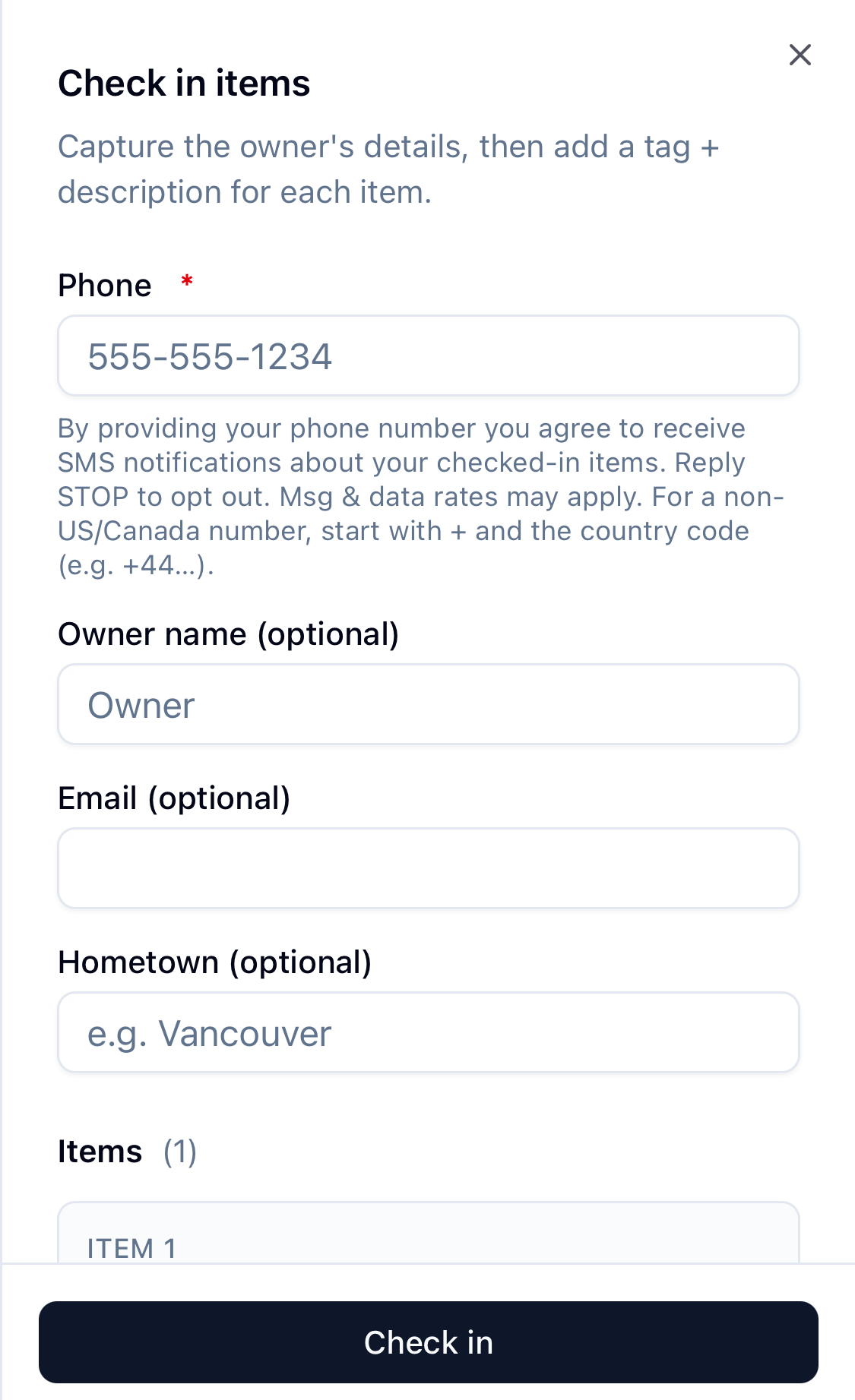 CheckYourStuff’s item check-in form with customer details and tagged items.
